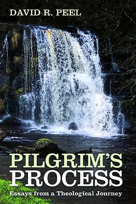 Picture of Pilgrim's Process