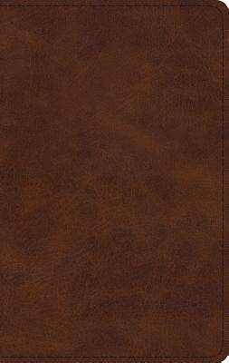 Picture of ESV Large Print Thinline Bible (Trutone, Deep Brown)
