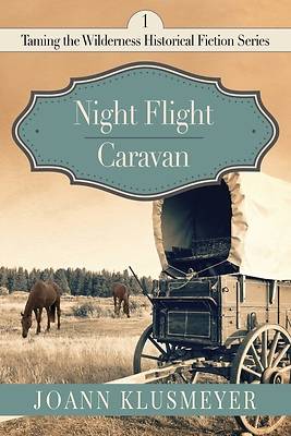 Picture of Night Flight and Caravan