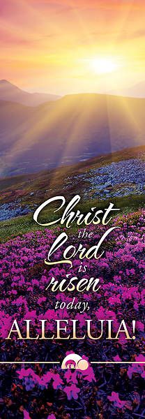 Picture of Christ the Lord is Risen Today Banner 2 x 6 Vinyl