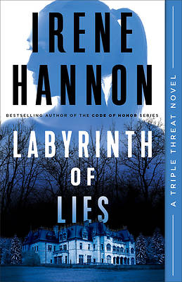 Picture of Labyrinth of Lies