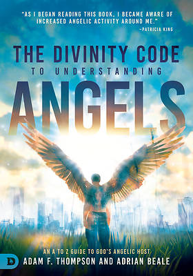 Picture of The Divinity Code to Understanding Angels