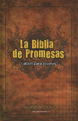 Picture of La Santa Biblia de Promesas-Rvr 1960