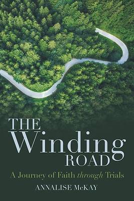 Picture of The Winding Road