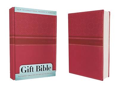 Picture of NIRV Gift Bible