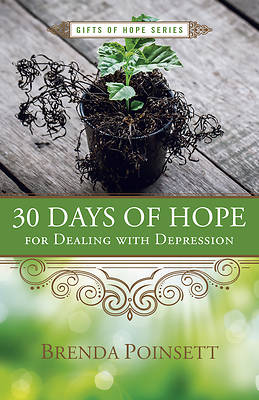 Picture of 30 Days of Hope for Dealing with Depression