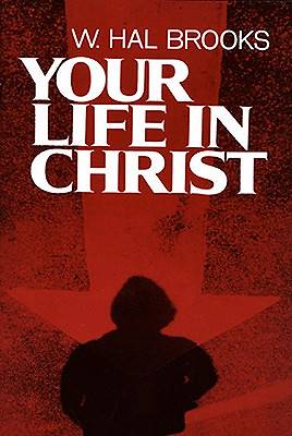 Picture of Your Life in Christ
