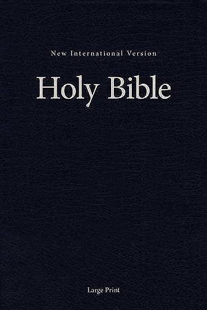 Picture of NIV Church Bible Large Print Brown - Case of 16