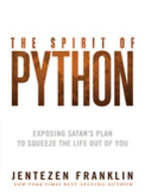 Picture of The Spirit of Python [ePub Ebook]