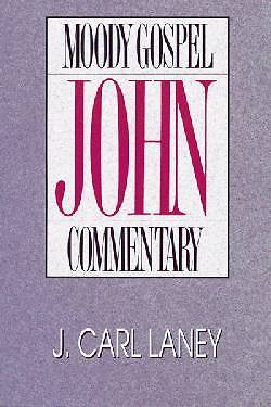 Picture of John- Moody Gospel Commentary