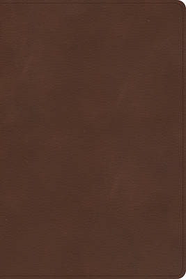 Picture of CSB Rainbow Study Bible, Brown Leathertouch