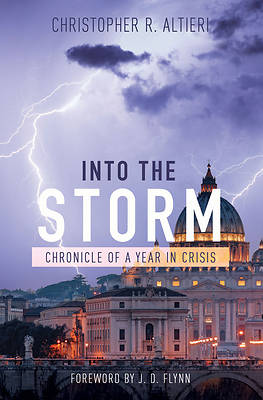 Picture of Into the Storm