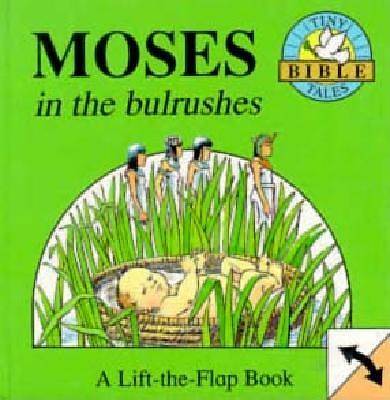 Picture of Moses and the Bulrushes