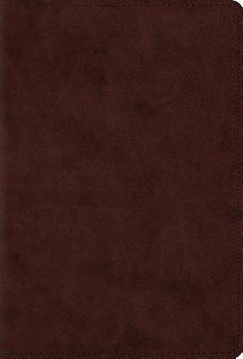 Picture of The Psalms, ESV (Trutone, Brown)
