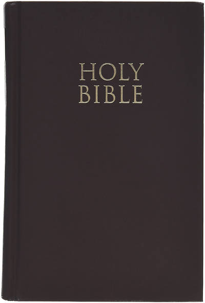 Picture of NIV Pew and Worship Bible Large Print Blue - Case of 12