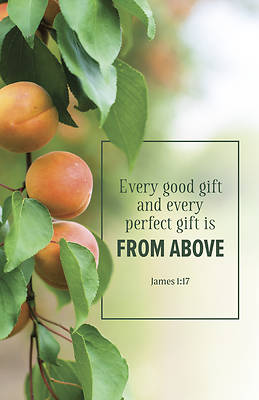 Picture of Evangelism Bulletin