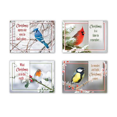 Picture of Christmas Birds Assorted Christmas Boxed Cards