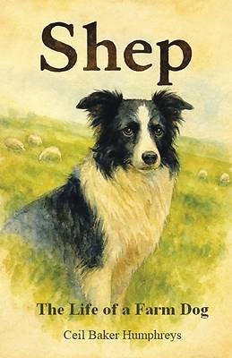 Shep