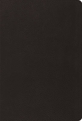 Picture of The Psalms, ESV (Black)