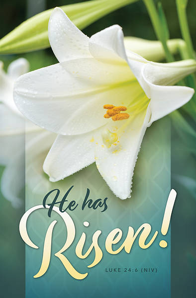 Picture of He Has Risen Easter Regular Size Bulletin