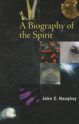 Picture of A Biography of the Spirit