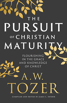 Picture of Pursuit of Christian Maturity