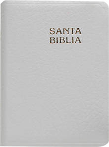 Picture of Pocket Sized Bible-Rvr 1960