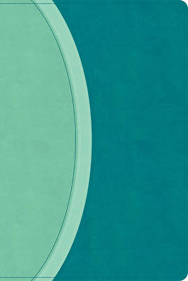 Picture of CSB Rainbow Study Bible, Teal Leathertouch (Limited Edition)