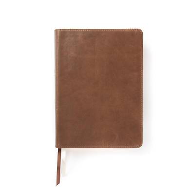 Picture of CSB She Reads Truth Bible, Brown Genuine Leather, Indexed