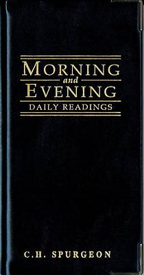 Picture of Morning and Evening