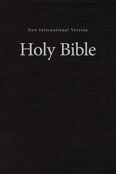 Picture of NIV Value Pew and Worship Bible Brown - Case of 16