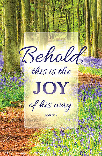 Picture of Joy of His Way General Regular Size Bulletin