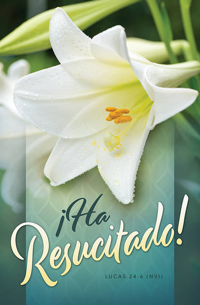 Picture of Ha Resucitado Easter Spanish Regular Size Bulletin
