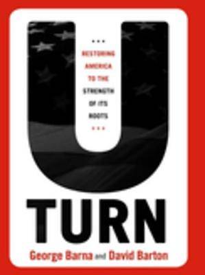 Picture of U-Turn [ePub Ebook]