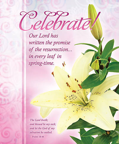 Picture of Easter Bulletin Celebrate!, Large Size Package of 100