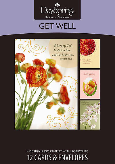 Picture of Budding Hope - Get Well Boxed Cards - Box of 12