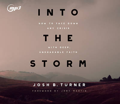 Picture of Into the Storm