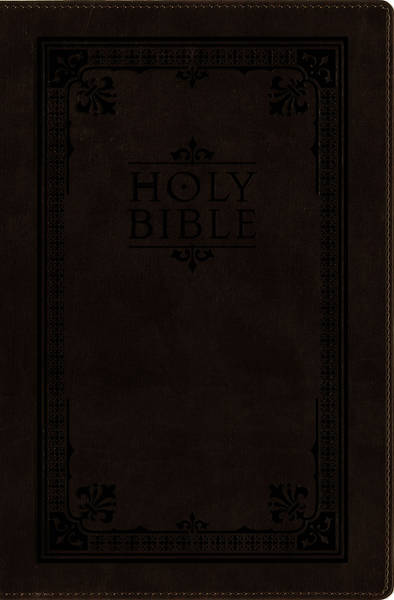 Picture of NIV and the Message Side-By-Side Bible, Large Print