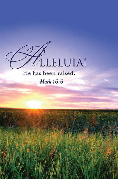 Picture of Alleluia! Easter Sunrise Bulletin (Pkg of 50)