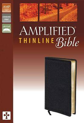 Picture of Amplified Thinline Bible