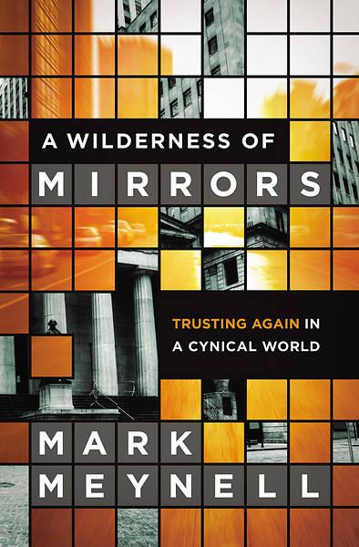 Picture of A Wilderness of Mirrors