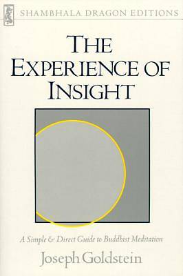 Picture of The Experience of Insight