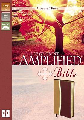 Picture of Amplified Bible-Am-Large Print