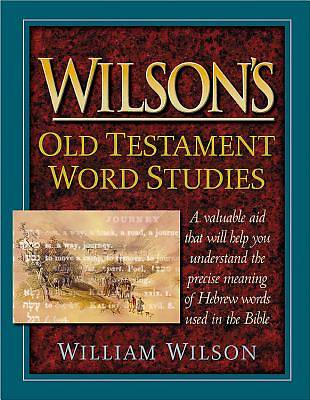 Picture of Wilson's Old Testament Word Studies
