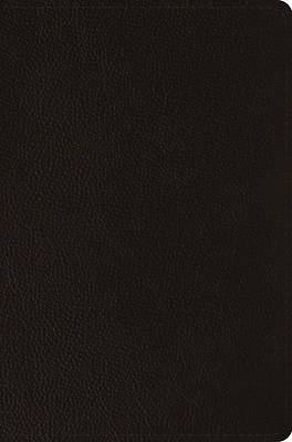 Picture of ESV Compact Bible (Buffalo Leather, Deep Brown)