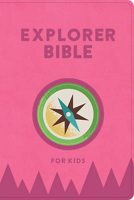 Picture of KJV Explorer Bible for Kids, Bubble Gum Leathertouch
