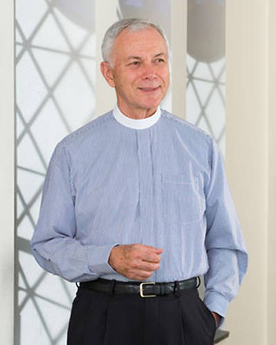Picture of Signature Long Sleeve Striped Clergy Shirt with Neckband Collar