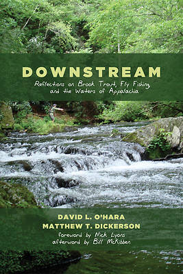 Picture of Downstream