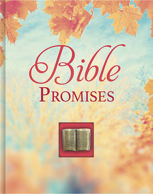 Picture of Bible Promises