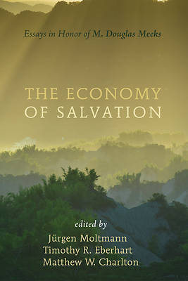 Picture of The Economy of Salvation